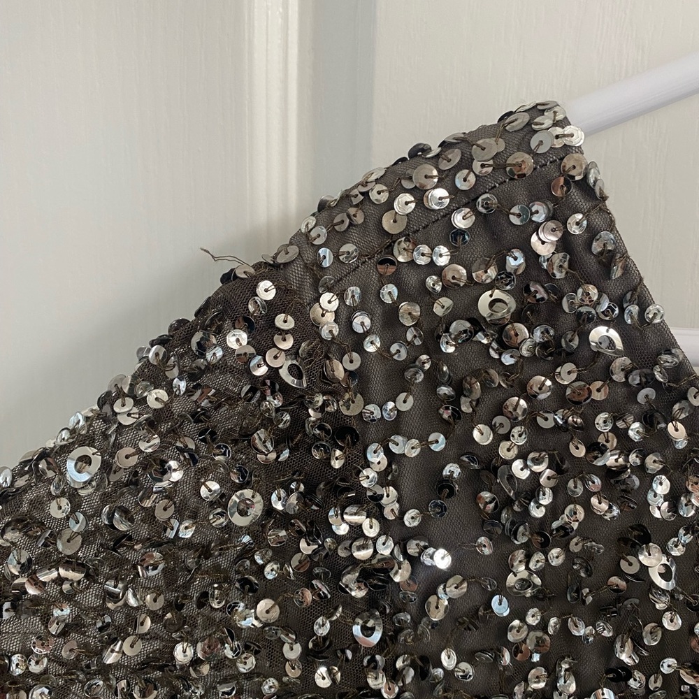 Adrianna Papell full length sequin dress | size 20W - Picture 6 of 12